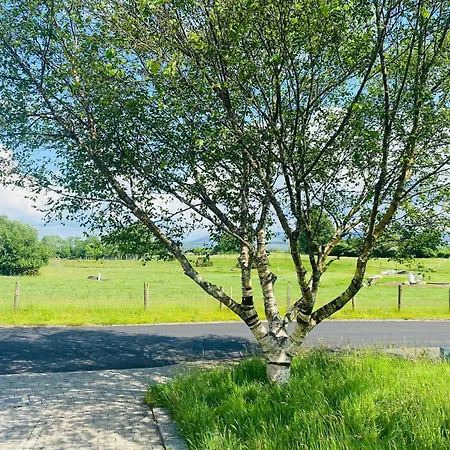 Within Easy Walking Distance To *